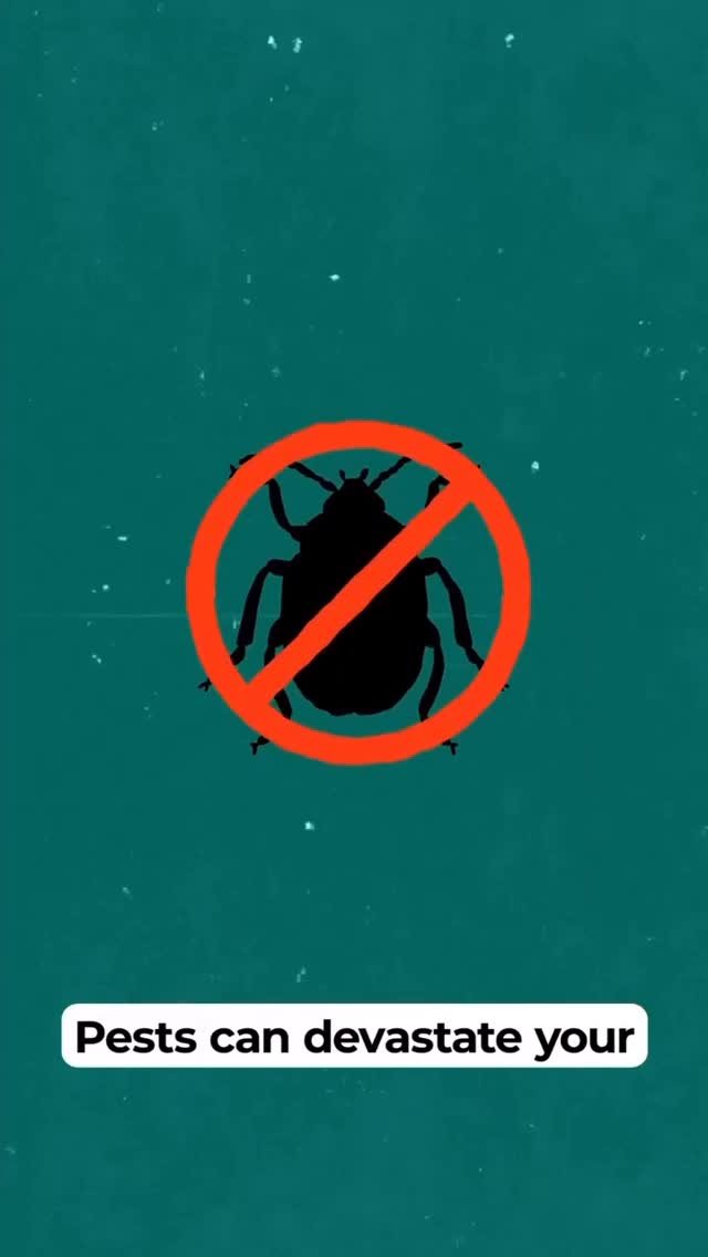 agriplastprotected 게시물 이미지: Many growers unknowingly make these 3...