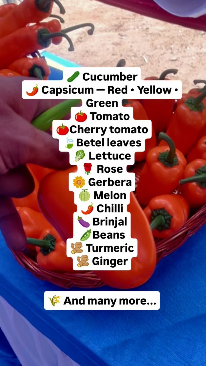 agriplastprotected 게시물 이미지: What Can You Grow Inside a Polyhouse?

A...