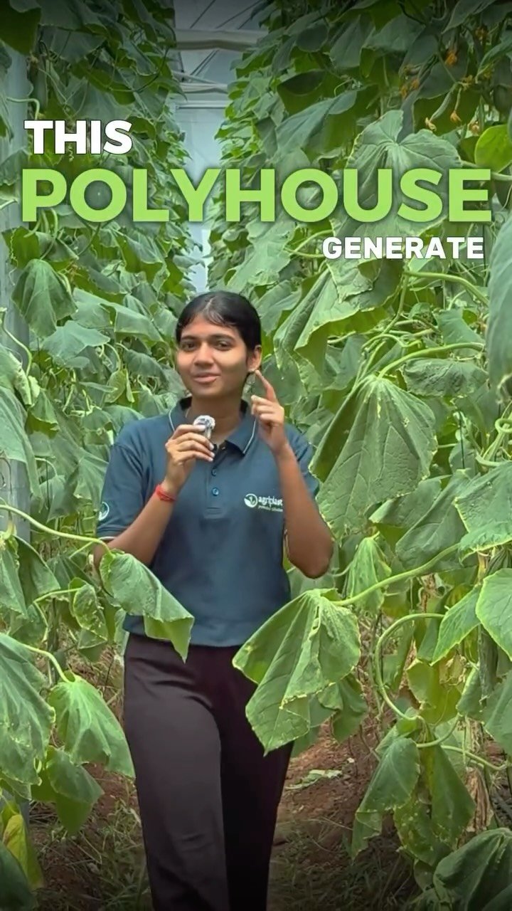 agriplastprotected 게시물 이미지: Before investing in a Polyhouse, ask this one...