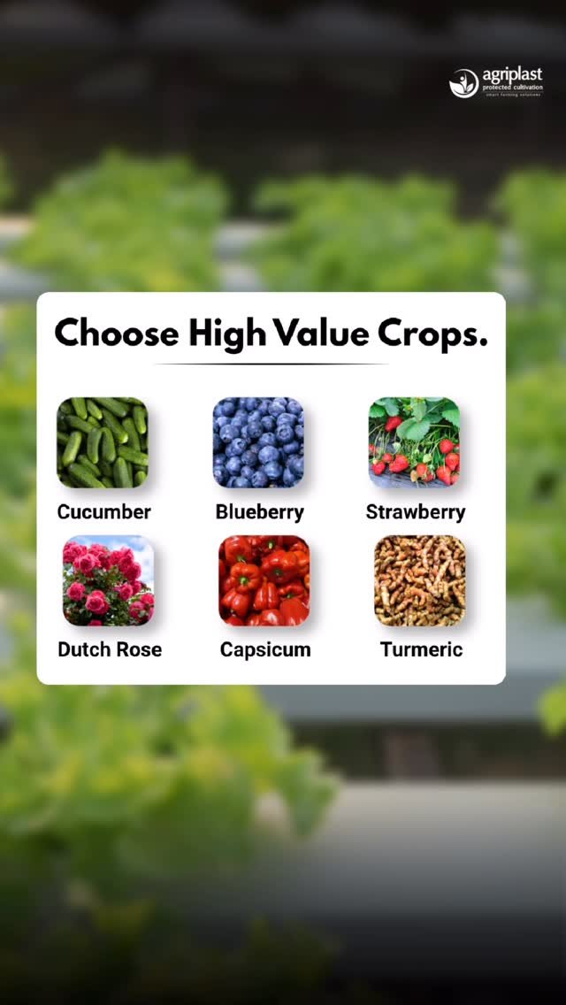 agriplastprotected 게시물 이미지: Want To Start Polyhouse Farming But Don’t Know...