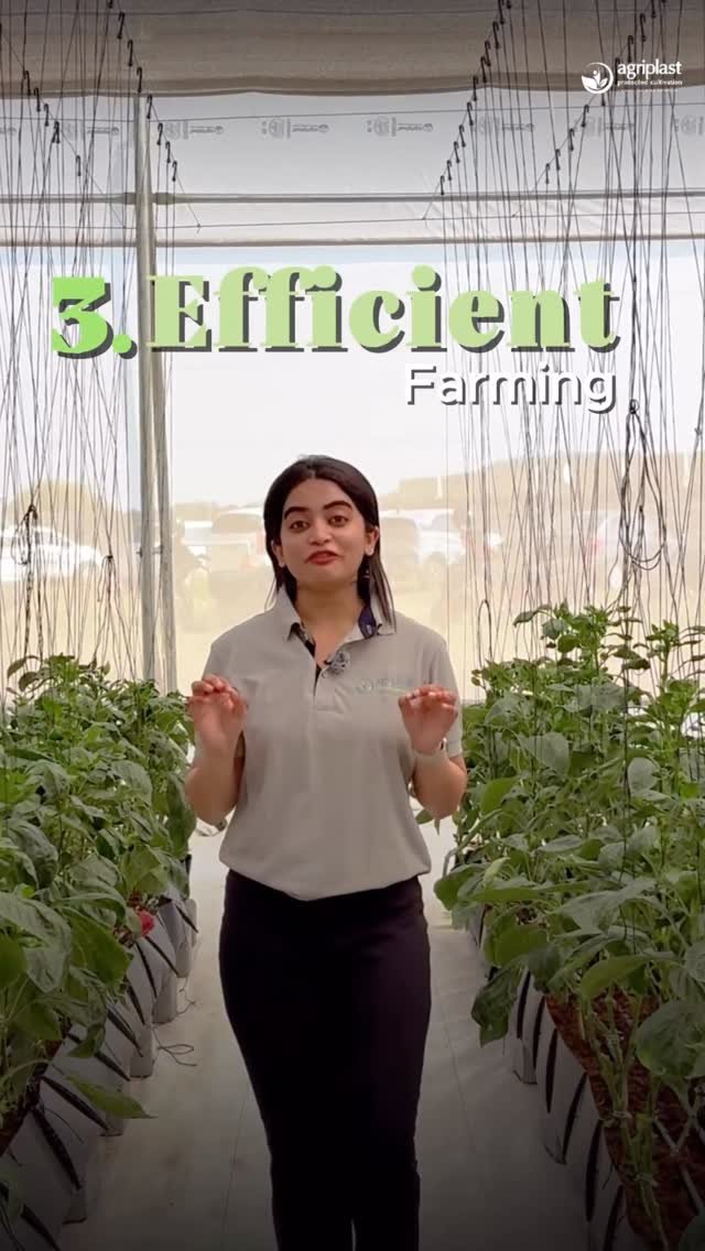 agriplastprotected 게시물 이미지: Why is Protected Cultivation becoming the...
