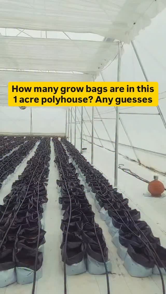 agriplastprotected 게시물 이미지: Guess the grow bags in the comments. We will...