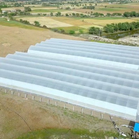 agriplastprotected 게시물 이미지: A glimpse of protected cultivation at...