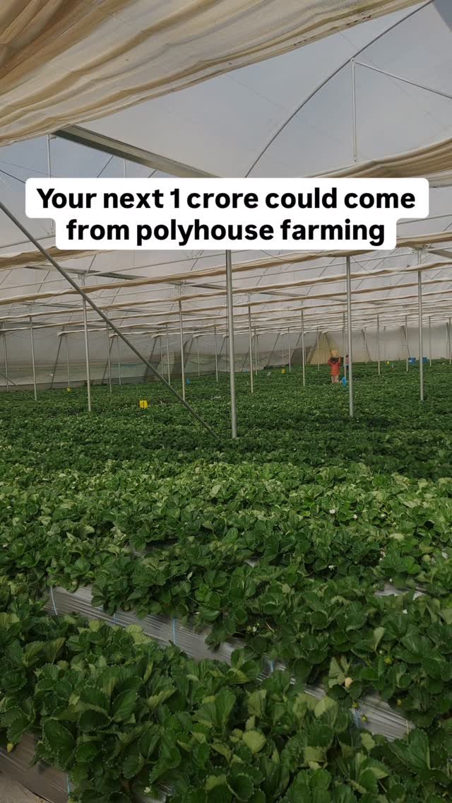 agriplastprotected 게시물 이미지: Thinking about polyhouse farming?
This free...