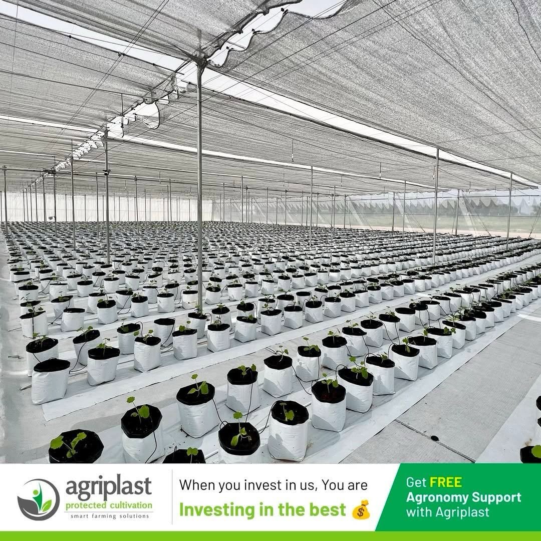 Photo by Agriplast Protected Cultivation Pvt Ltd on February 10, 2026. May be an image of cold frame, vegetable, seedlings, seedling, herb and text that says 'agriplast protected cultivation smart farming solutions When you invest in us, You are Investing in the best GetFREE Get FREE Agronomy Support with Agriplast'.