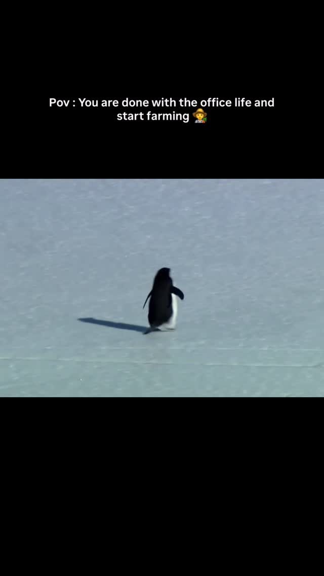 agriplastprotected 게시물 이미지: #farming #nihilistpenguin #hitechfarming