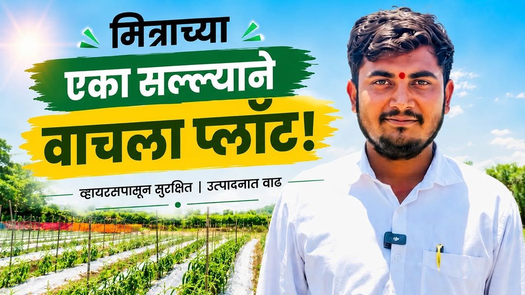agrisearchindia 게시물 이미지: शेजारचे प्लॉट स्ट्रेसमध्ये… पण या शेतकऱ्याची...
