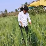 agro_indiavaibhav 프로필 사진