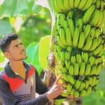 farm_with_ajinkya 프로필 사진
