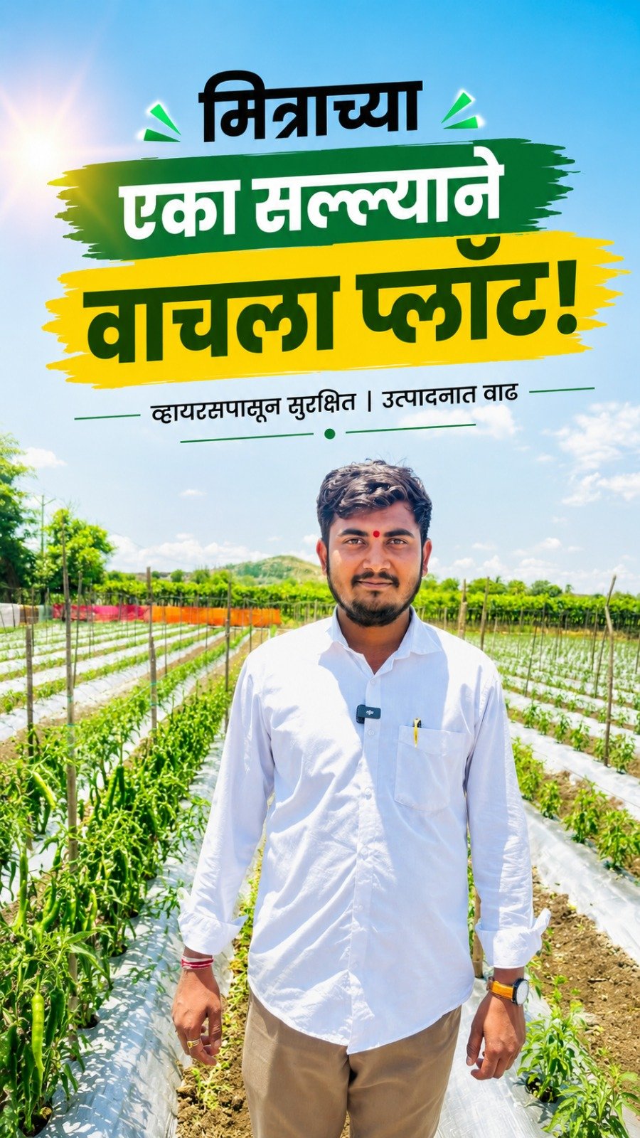 agrisearchindia 게시물 이미지: आजूबाजूची पिकं करपत होती… पण हा प्लॉट का चमकत...