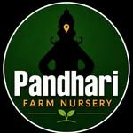 pandhari_farm_nursery 프로필 사진