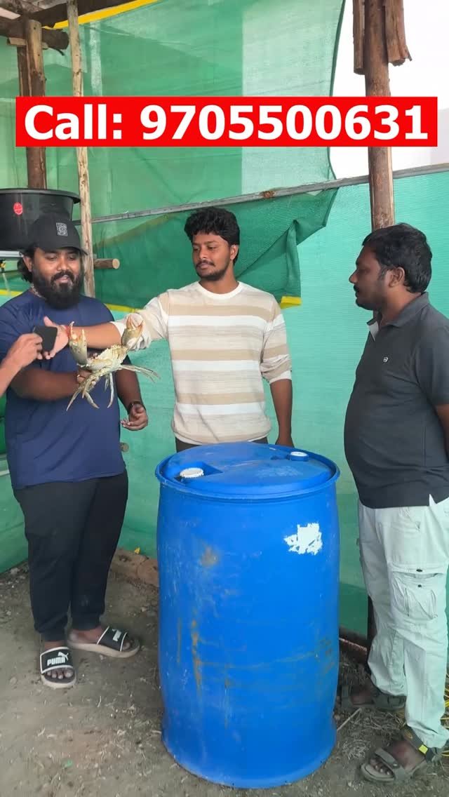 agritechtelugu 게시물 이미지: Real results from our latest Mud Crab...
