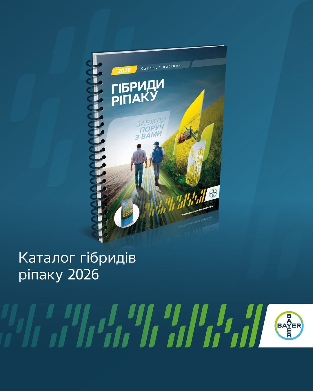 agronomica.bayer 게시물 이미지: Каталог гібридів ріпаку 2026 від «Байєр» уже...