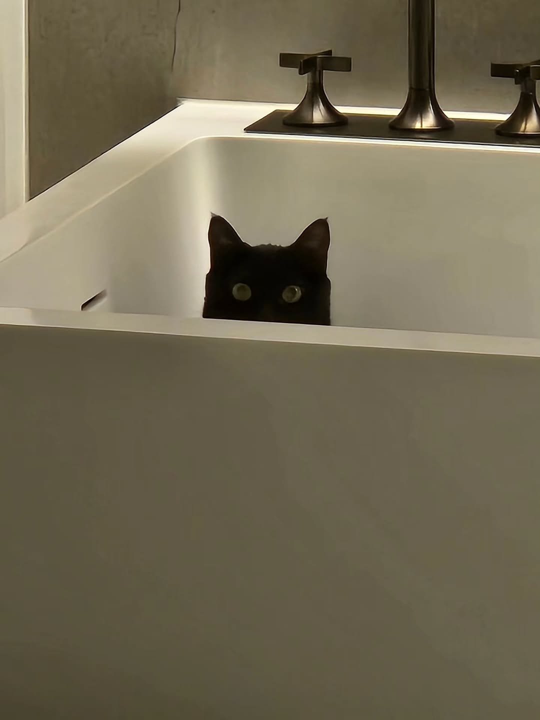 Photo by SUGA of BTS 민윤기 on February 16, 2026. May be an image of kitten, tortoiseshell cat, bathtub, sink and text.