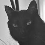 agustd 인스타그램 프로필 사진