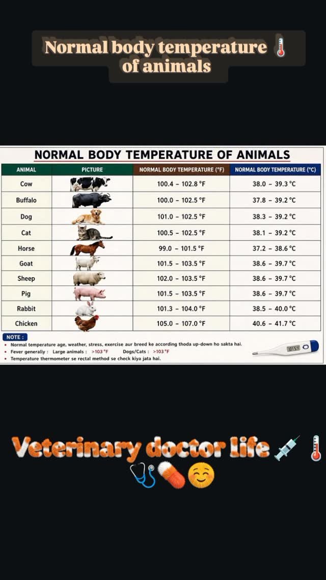 ahdp_bikaner_rajuvas 게시물 이미지: Normal body temperature 🌡️ of...