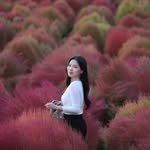 violet.wanders 프로필 사진