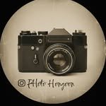 hong9_s 프로필 사진