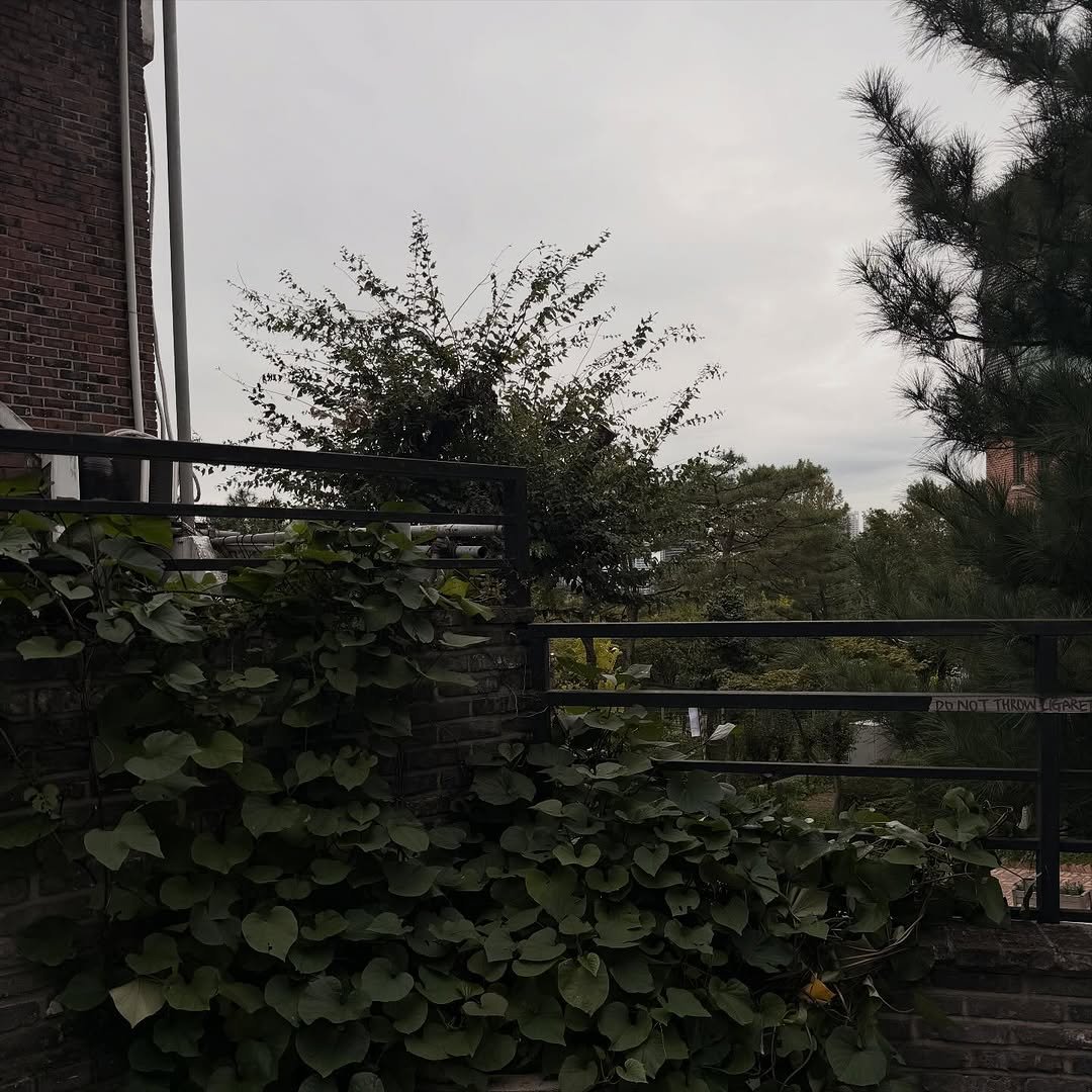 Photo by 안지호 on November 08, 2025.