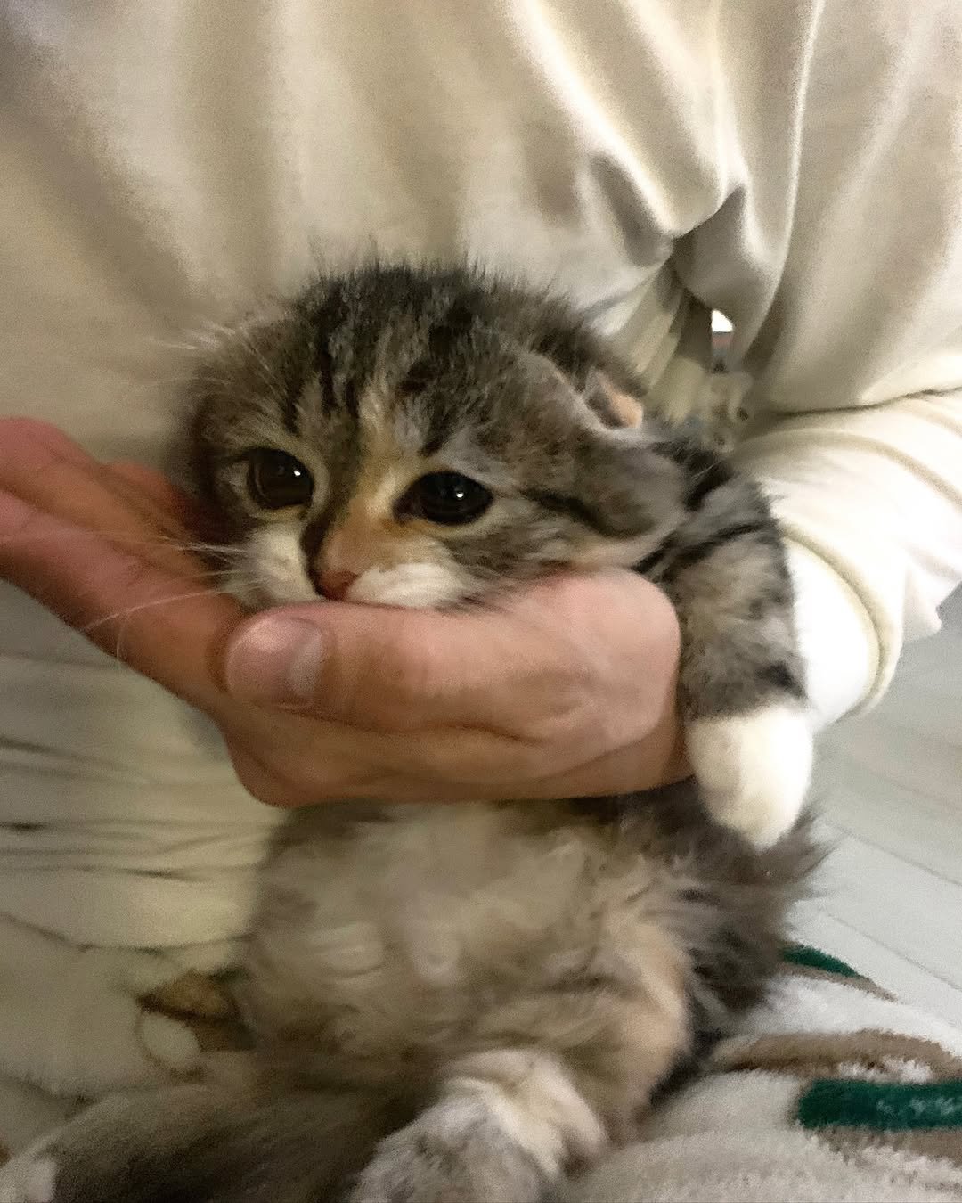 Photo by 안온해유 on January 11, 2025.