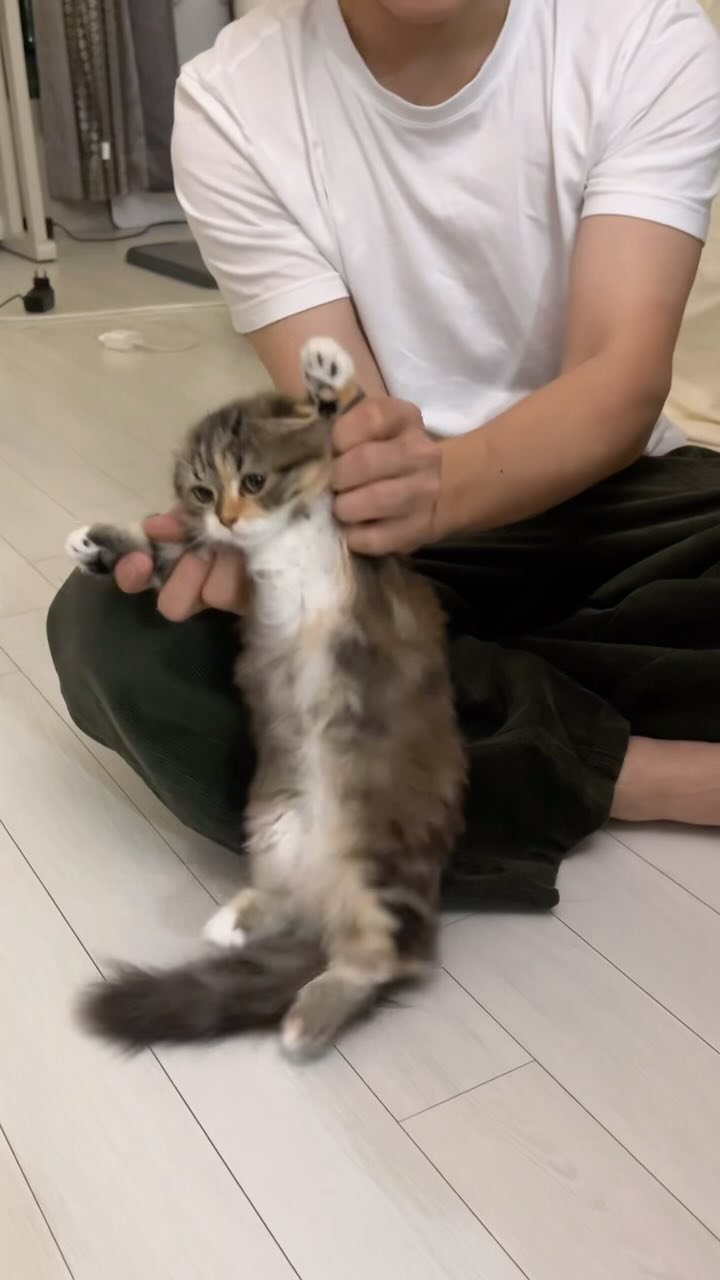 ahnon_heyyou 게시물 이미지: 춤도 잘춰유🥵🤍
