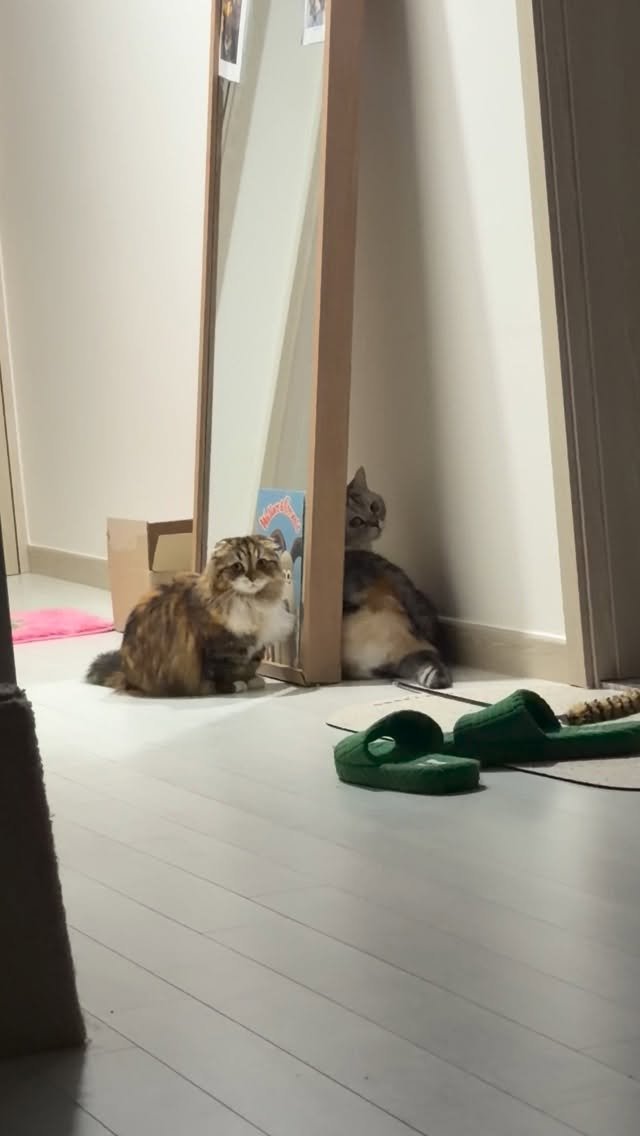 ahnon_heyyou 게시물 이미지: 숨막히는 눈치 게임 🤦‍♂️