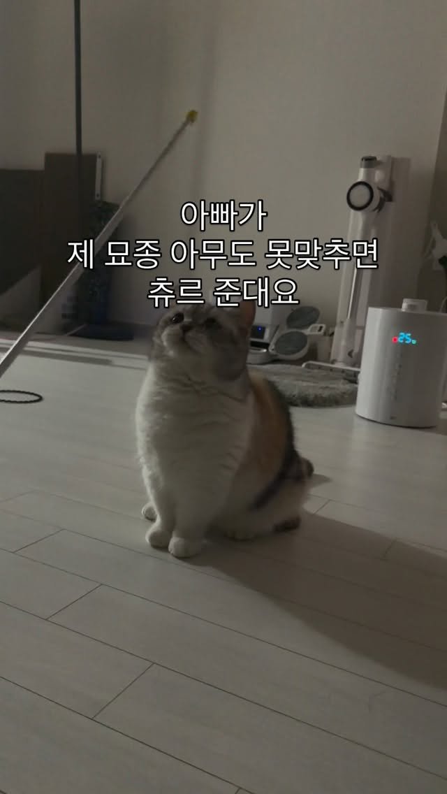 ahnon_heyyou 게시물 이미지: 츄르 츄르 츄르 츄르 츄르