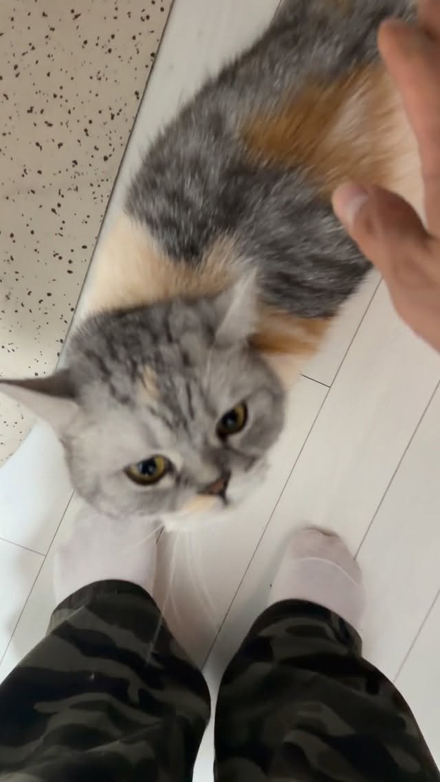 ahnon_heyyou 게시물 이미지: 늦게 오는 날은 잔소리 잔소리🔊