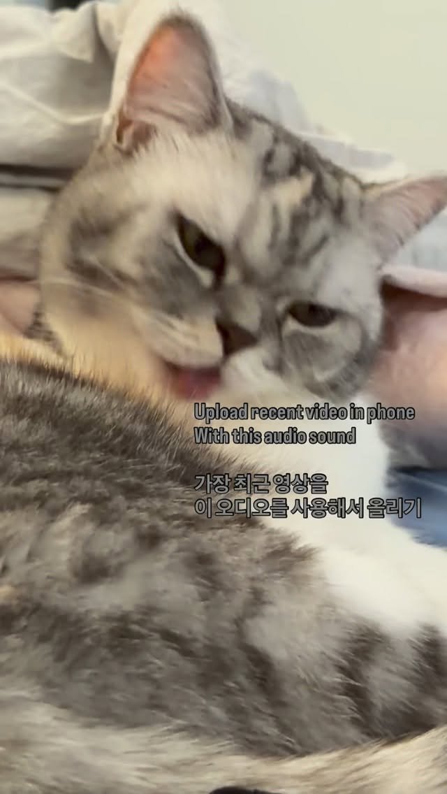 ahnon_heyyou 게시물 이미지: 감동적... 인.. 가요....?