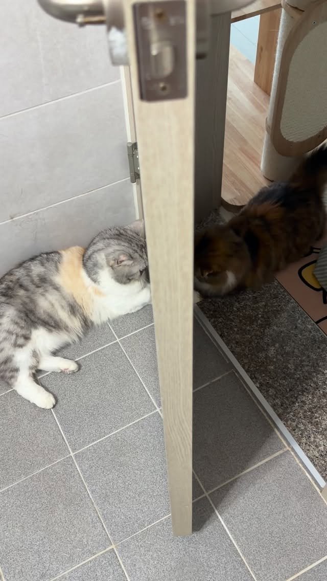 ahnon_heyyou 게시물 이미지: 🤦‍♂️🤍🤍🤍🤍🤍