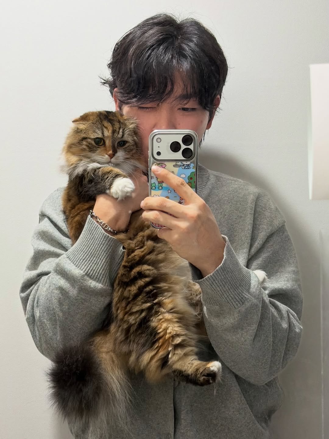 Photo shared by 헌일 on April 26, 2026 tagging @ahnon_heyyou. May be an image of ragdoll cat, kitten, Abyssinian cat, tortoiseshell cat and text.