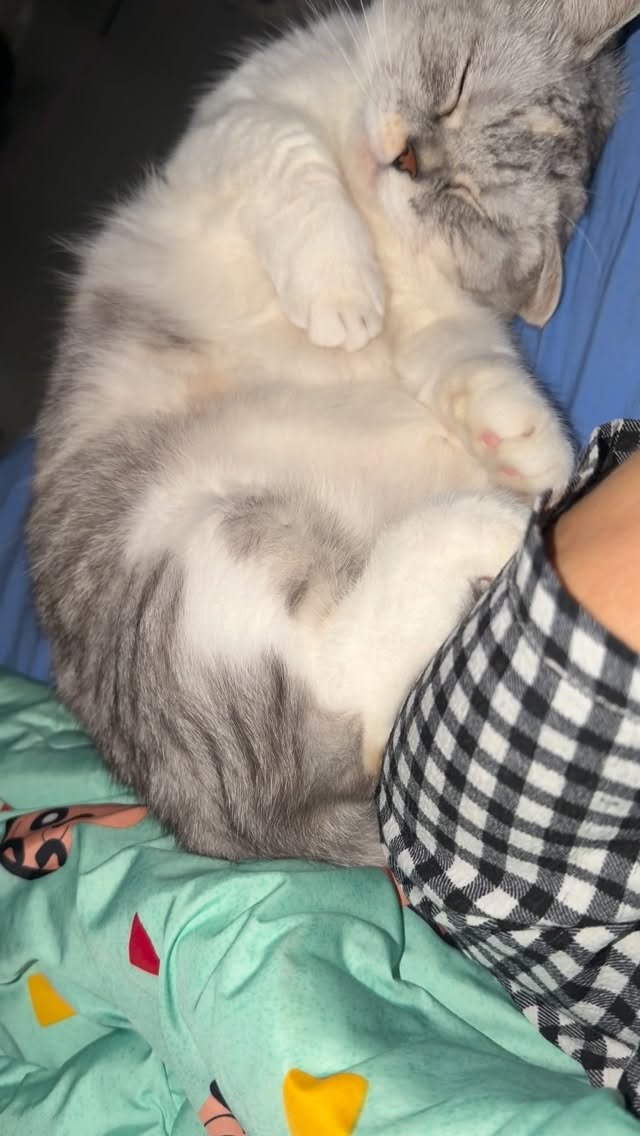 ahnon_heyyou 게시물 이미지: “자는척 했는데 걸렸을때, 한번더 확인했는데 또 걸림”