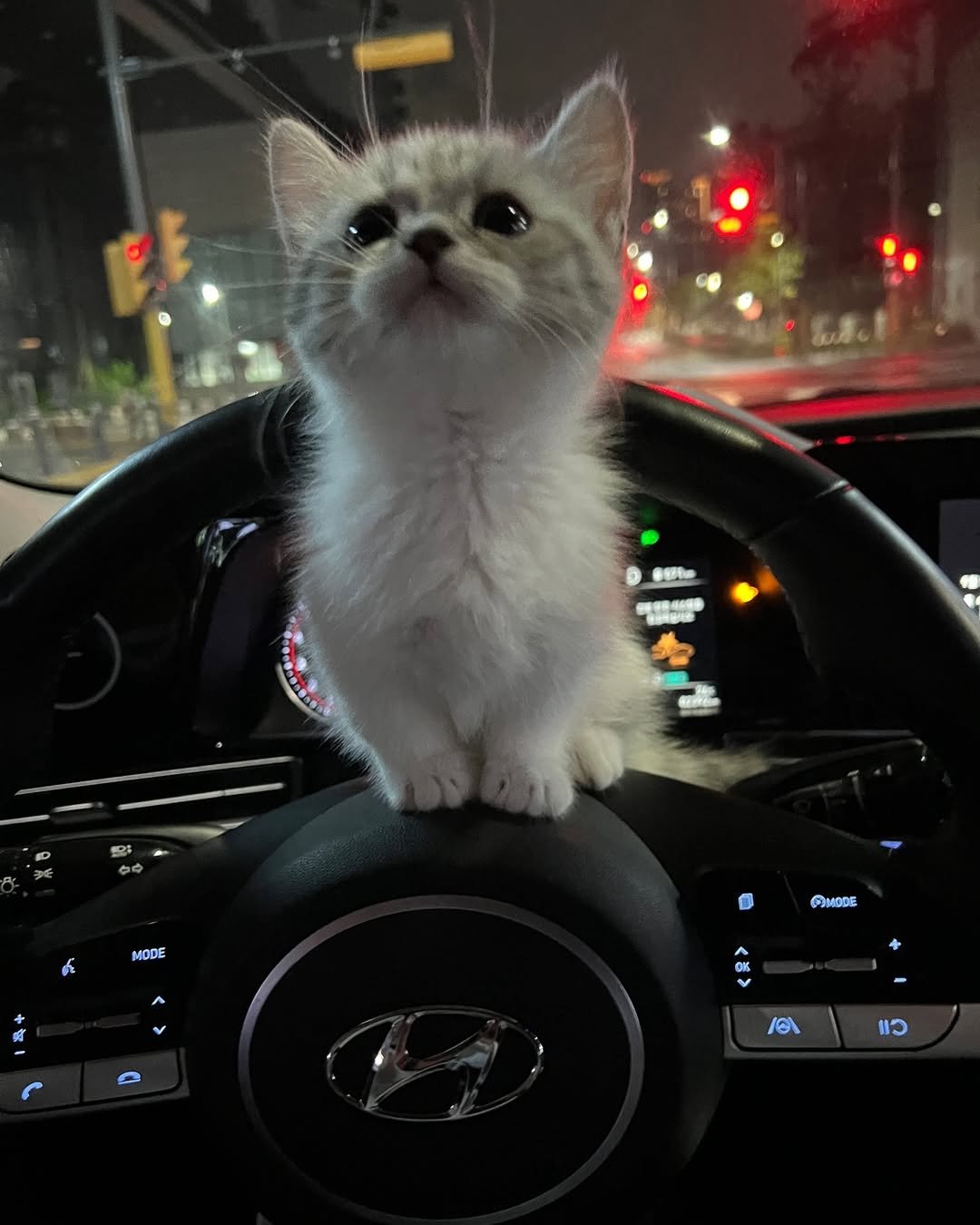 Photo by 안온해유 on September 05, 2024.