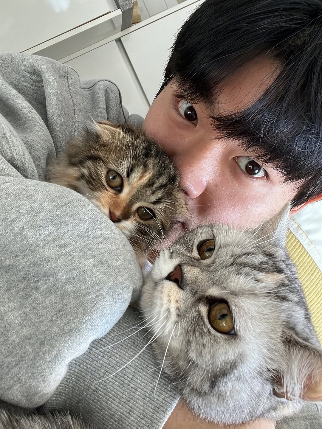 Photo shared by 헌일(Hunil) on August 08, 2025 tagging @ahnon_heyyou. May be an image of 1 person, kitten, Abyssinian cat, Persian cat, tortoiseshell cat and text.