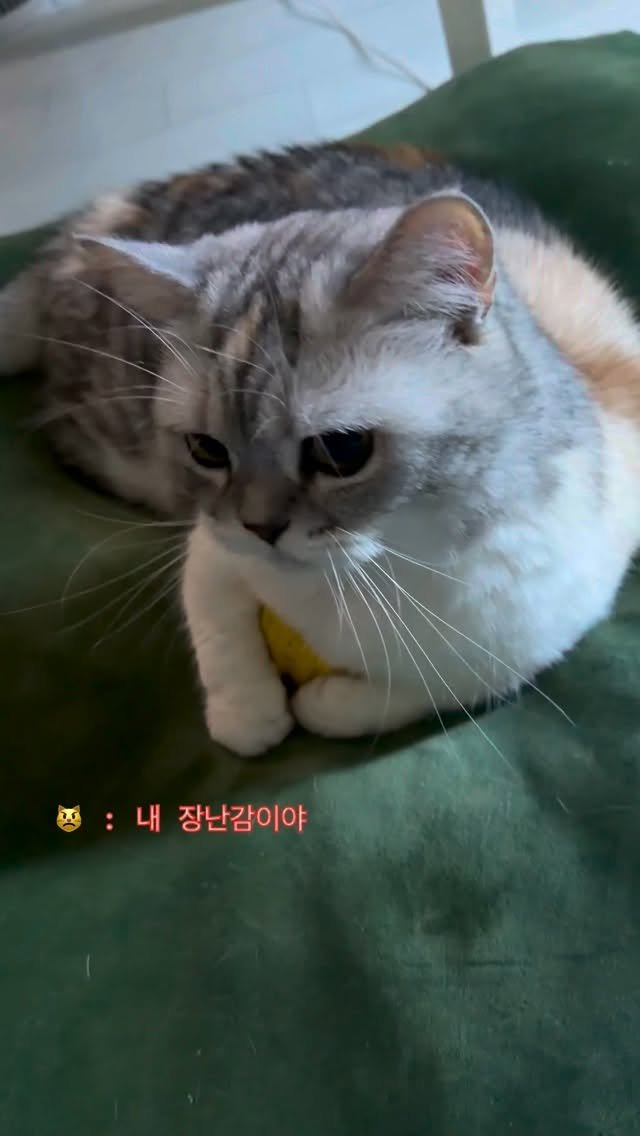 ahnon_heyyou 게시물 이미지: 자기는 쓰는법도 모르면서.... 아빠거야ㅠ