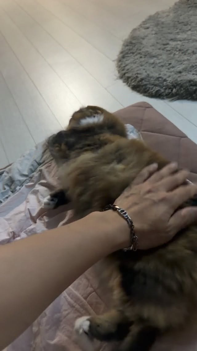 ahnon_heyyou 게시물 이미지: 진짜 얼마나 착한지 감도 안옴