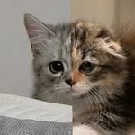 ahnon_heyyou 인스타그램 프로필 사진