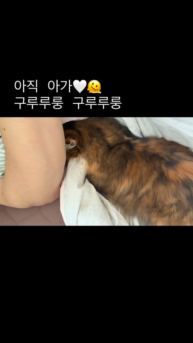 ahnon_heyyou 게시물 이미지: (소리필수)