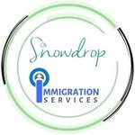 snowdropimmigration 프로필 사진