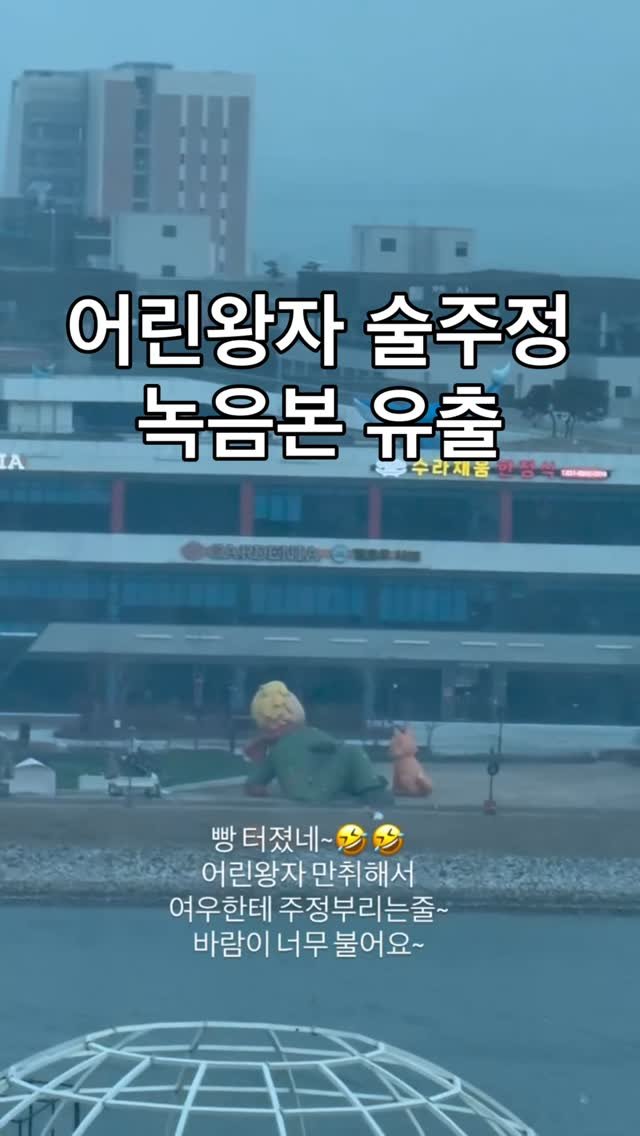 ahsue_23 게시물 이미지: 피드에 우연히 뜬 어린왕자 술주정(?)

남편이 녹음했길래 붙였는데 찰떡😂😂

강풍...