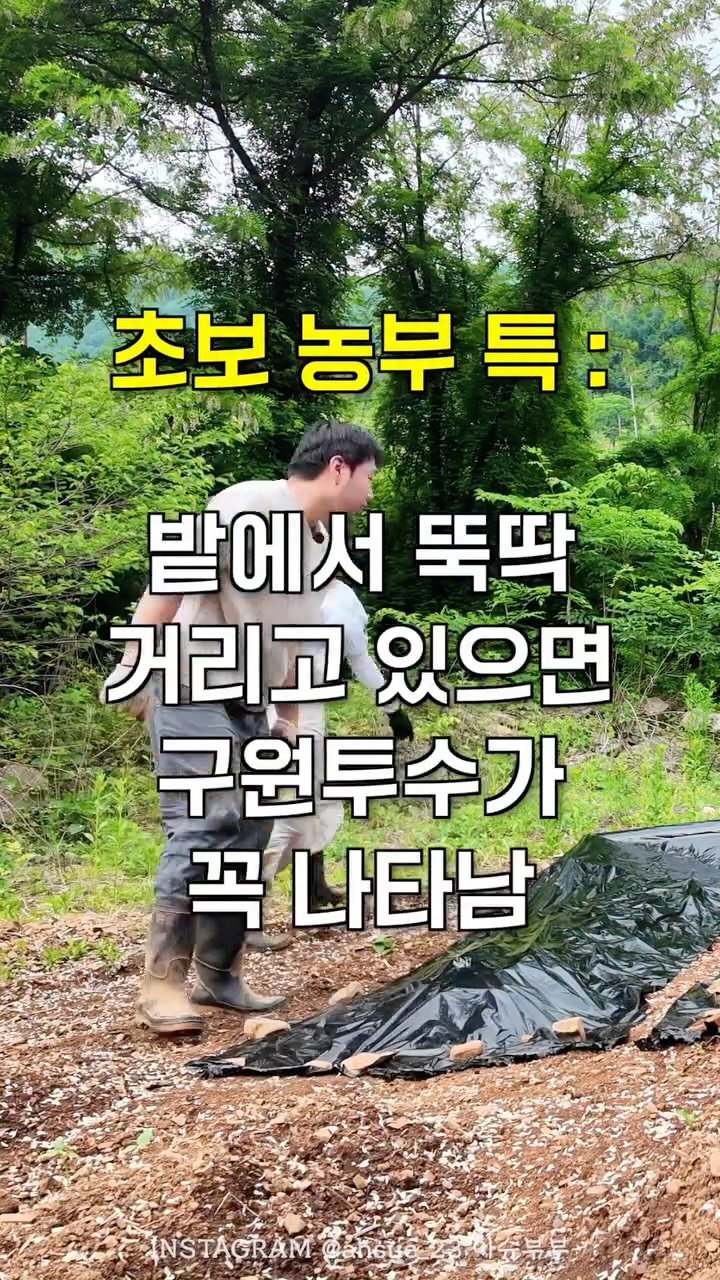 ahsue_23 게시물 이미지: 세상 일 쉬운 게 하나도 없다..

사실 저희 땅에 돌이 엄~청 많아서
그냥 돌을...