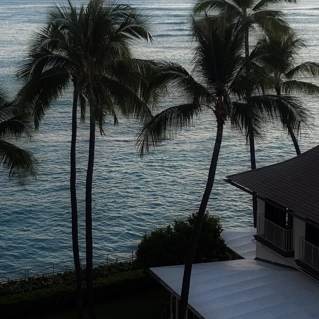 Photo by 소윤🐬 on July 07, 2025. May be an image of ocean, twilight, palm trees and text.