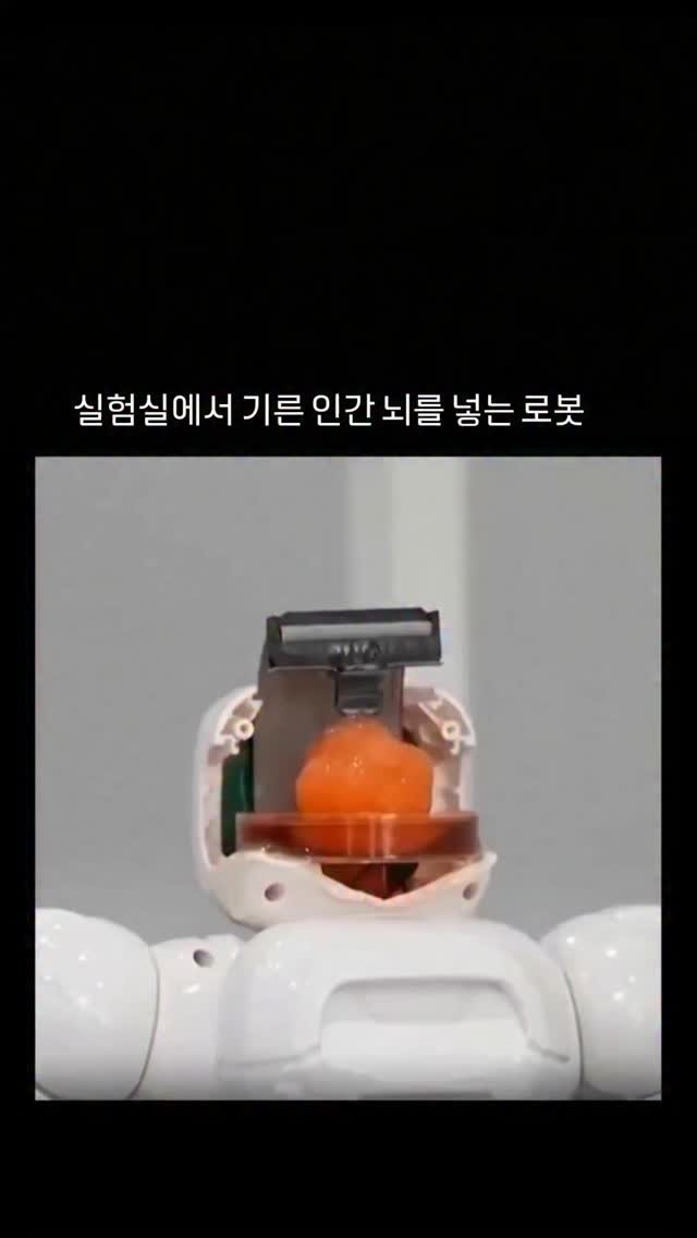 ai.sadari 게시물 이미지: 중국 과학자들이 인간 줄기세포로 만든 뇌를 탑재한 로봇을 개발했습니다.
이 로봇은...