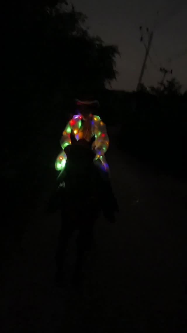 aine_boahancock 게시물 이미지: #happynewyear #2026 🎉🐎