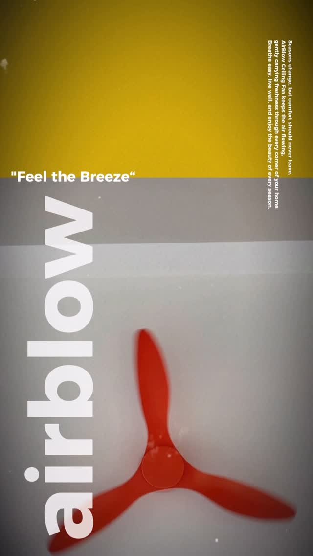 airblow_official 게시물 이미지: .
공간을 감싸는 고요한 우아함 AIRBLOW
⠀
소리 없이 회전하는 날개...