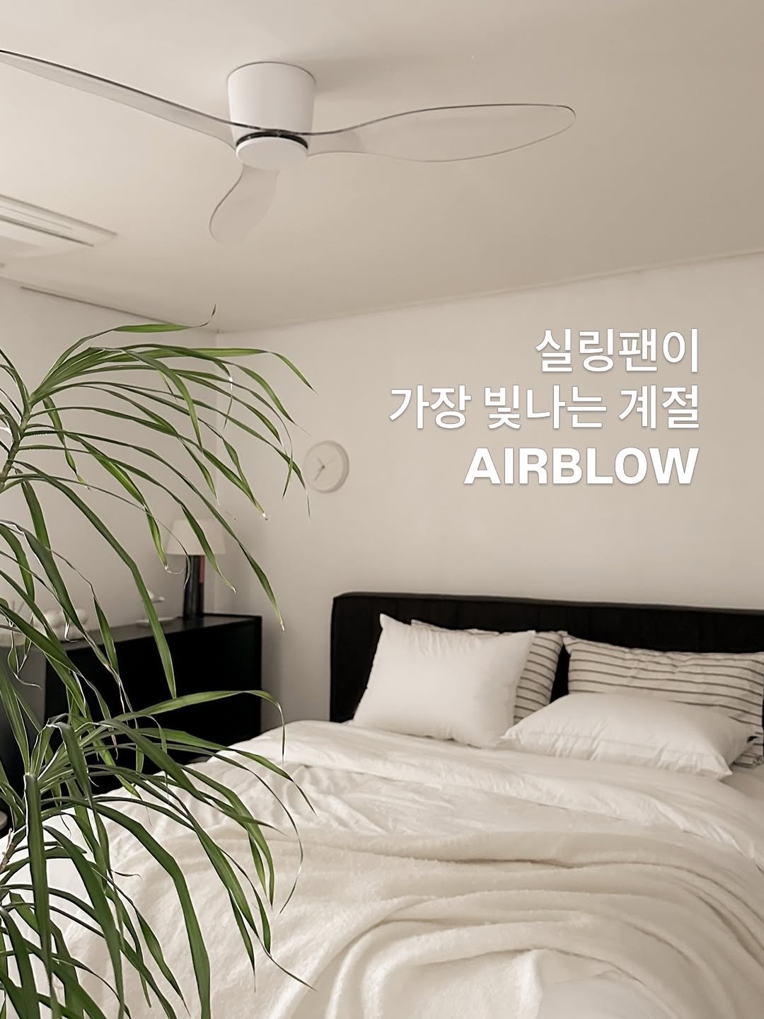 Photo by 에어블로우 airblow on April 23, 2026. May be an image of bed, headboard, mattress, bedroom and text that says '실링팬이 가장 빛나는 계절 AIRBLOW'.