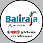 thebaliraja 프로필 사진