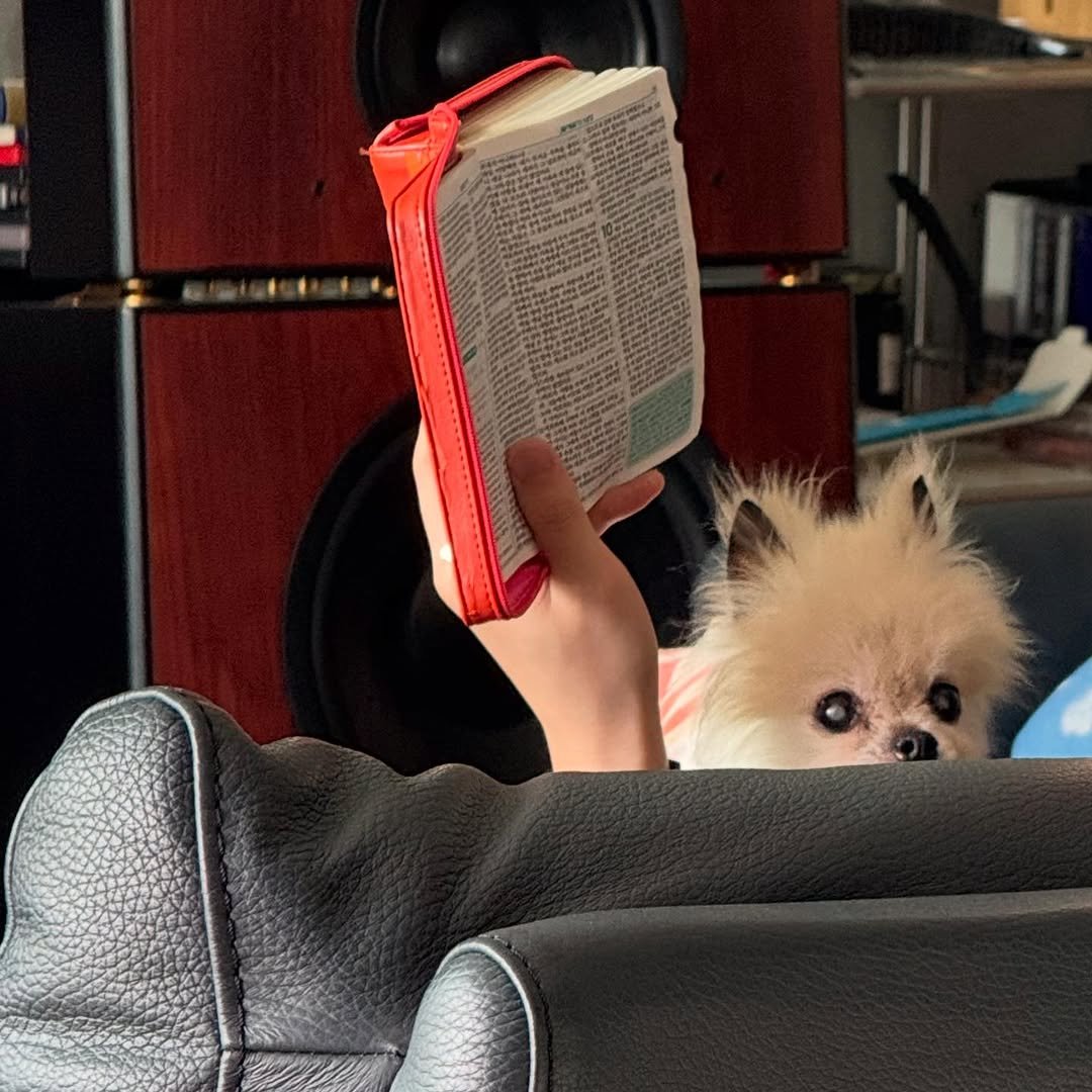 Photo by 이수현 on May 02, 2025.