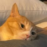 nakedbibi 프로필 사진