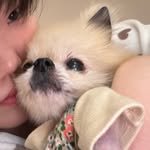 akmu_suhyun 인스타그램 프로필 사진